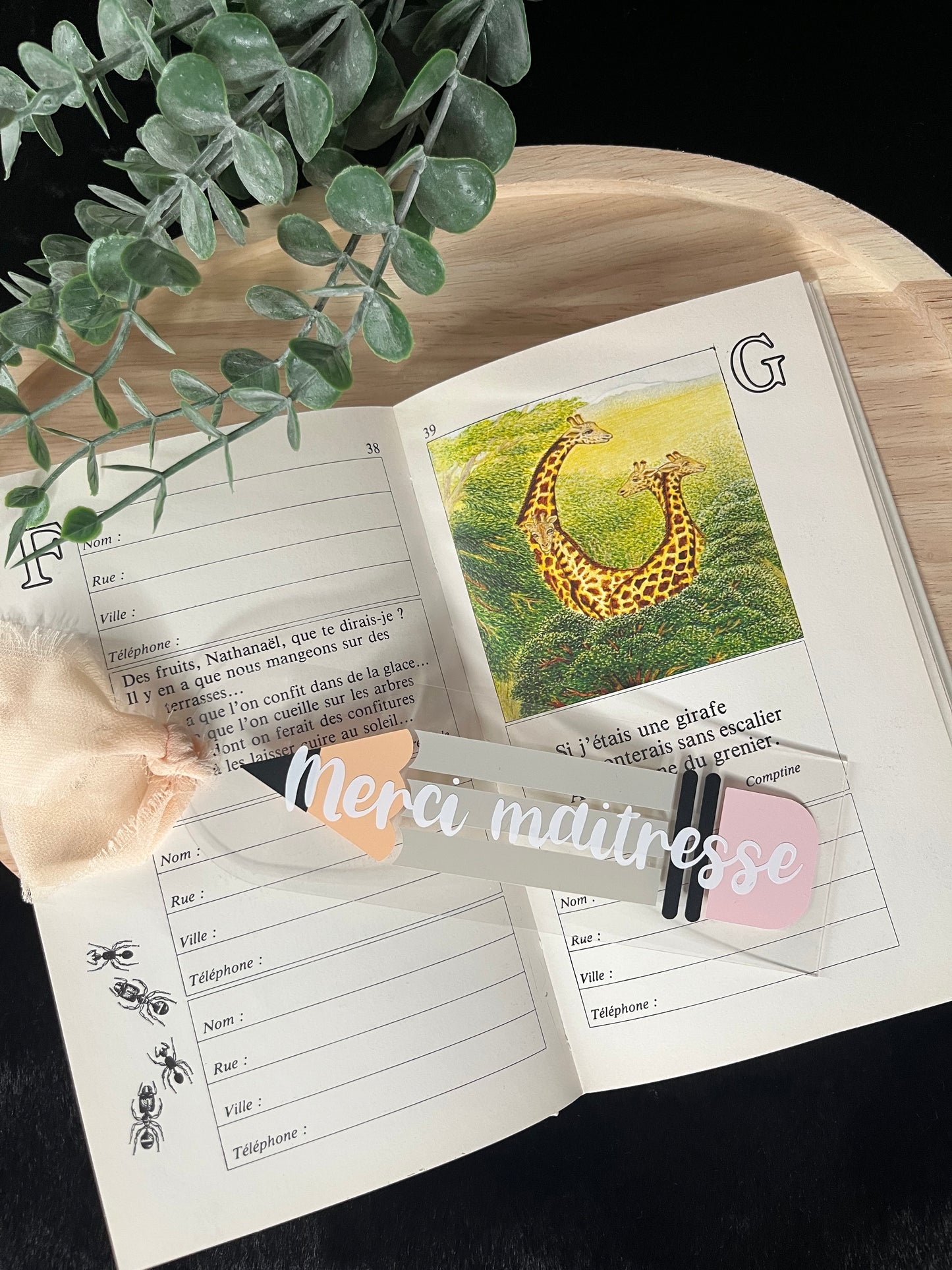 Marque page "Merci Maitresse"